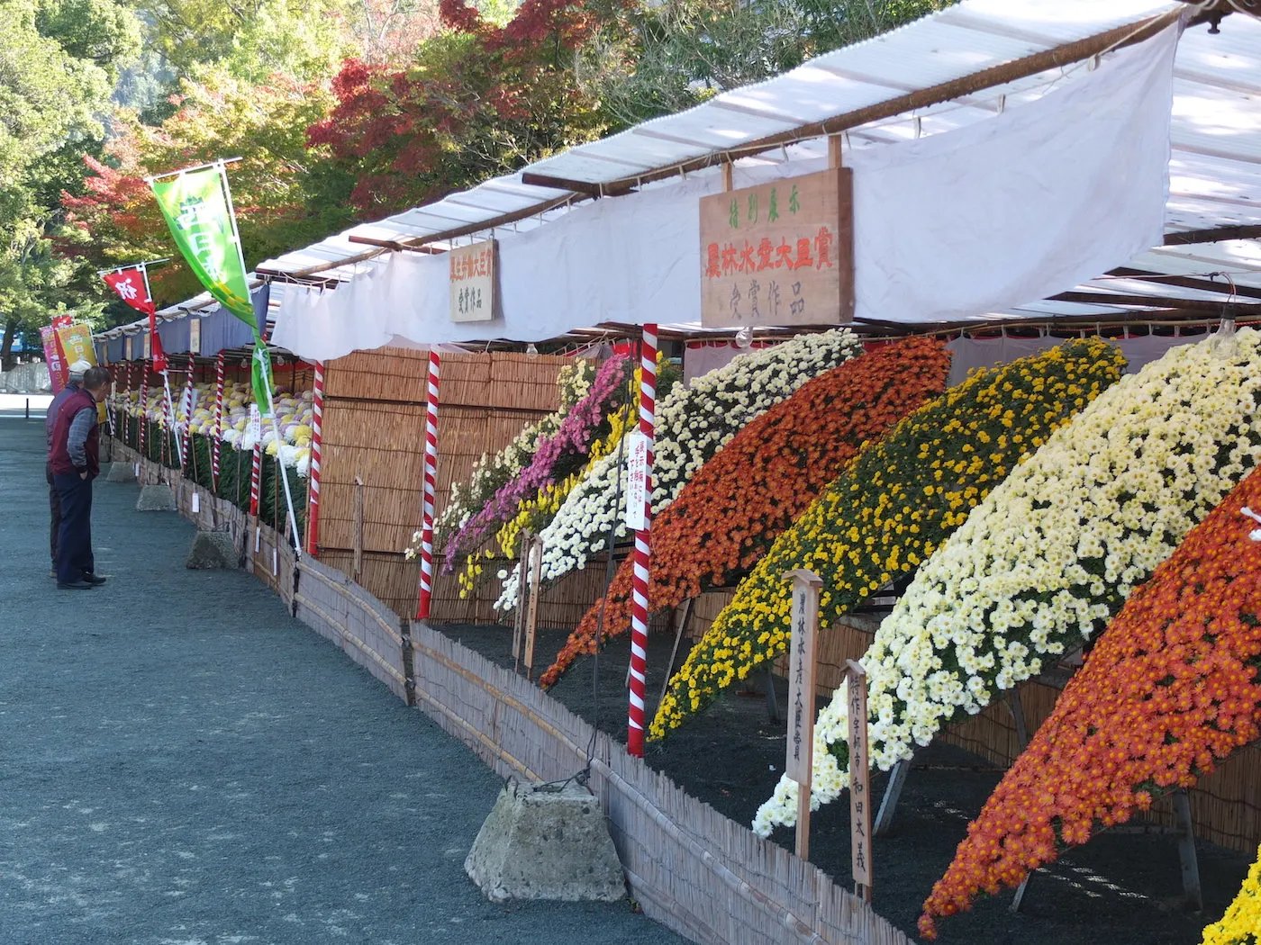 ⛩️ 무나카타 대사 헤쓰구 이미지 13